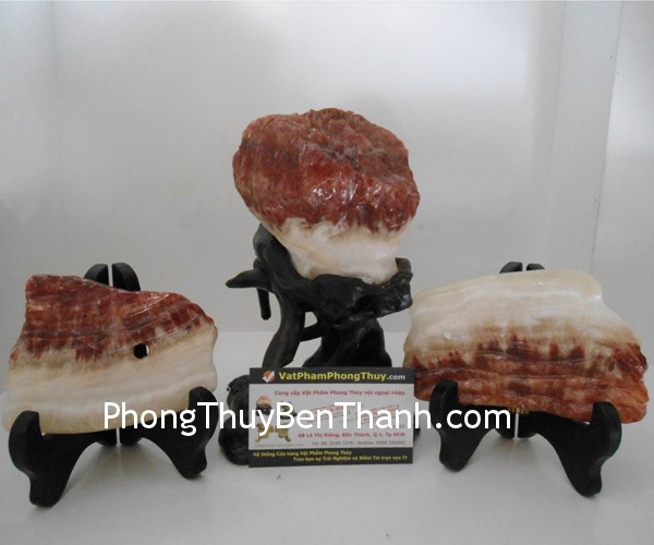 Khối đá thịt khủng long,mang lại sự giàu sang phú quý HD TKL thit khung long hoa thach Khối đá thịt khủng long,mang lại sự giàu sang phú quý HD TKL